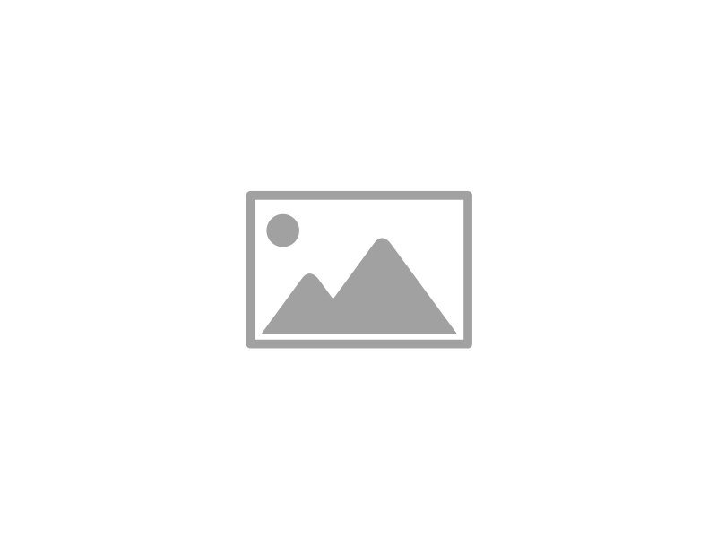 Schwerlastanker SLA B 18-110/10 Bolz.+6-KT.-Mutter blau verz. Schwerlastanker SLA B 18-110/10 Bolz.+6-KT.-Mutter blau verz.